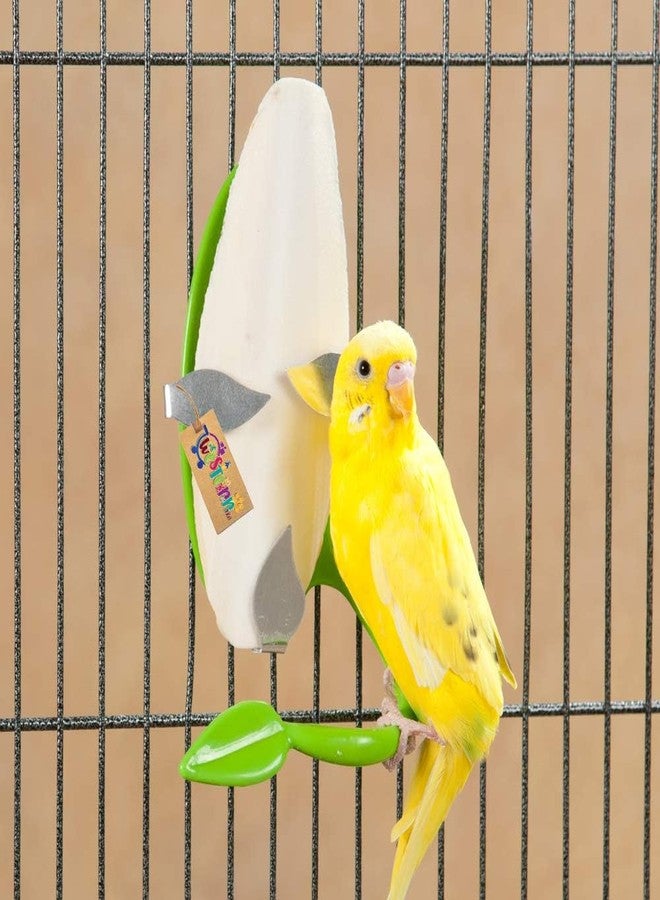 Western Era Natural High Calcium Source Cuttlebone Fish, Natural Mineral Block for Healthy Bones, Beaks & Feathers for Birds, Parrot (400grm) - Image 1